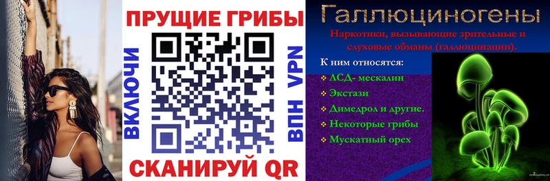 дарк нет какой сайт  мега ссылки  Торжок  Псилоцибиновые грибы Psilocybe 