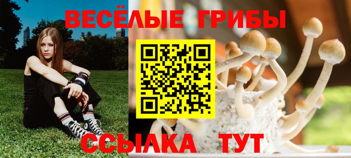 наркота  Вход с VPN  Торжок  Галлюциногенные грибы прущие грибы 